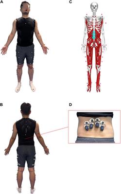Analysis of lumbar spine loading during walking in patients with chronic low back pain and healthy controls: An OpenSim-Based study